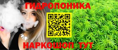СК Новокубанск
