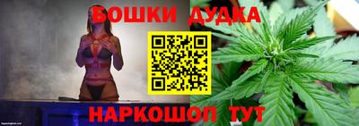 СК Новокубанск