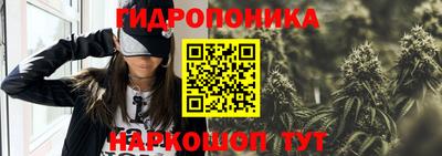 СК Новокубанск