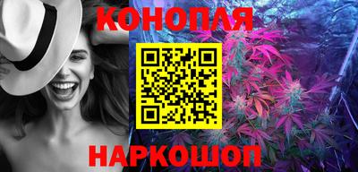 СК Новокубанск